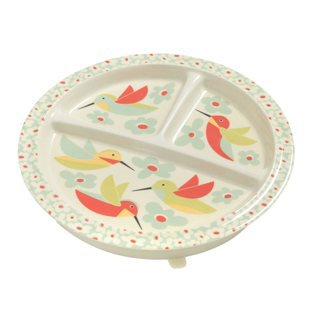 Divided Suction Plate | Hummingbird