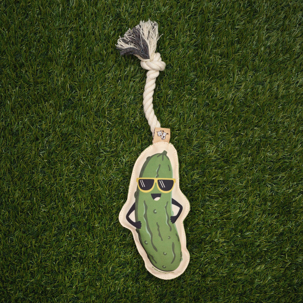 Rope Dog Toy | Pickle