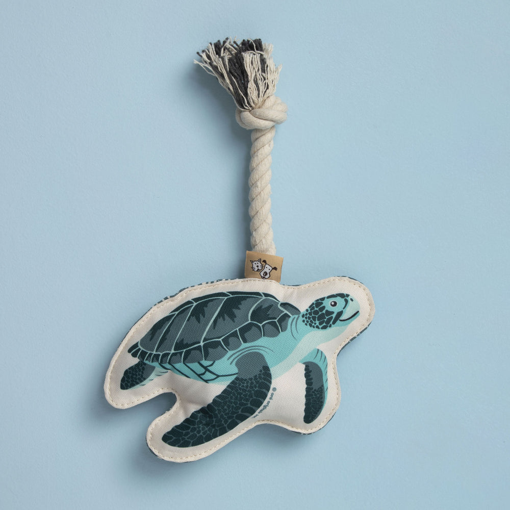 Rope Dog Toy | Turtle