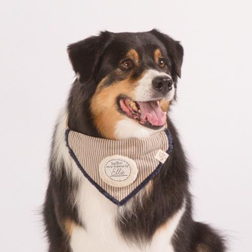 Dog Kerchief | Hello My Name Is Large