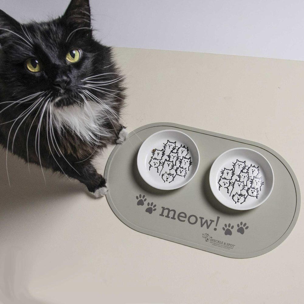Pet Bowl | Random Cats
