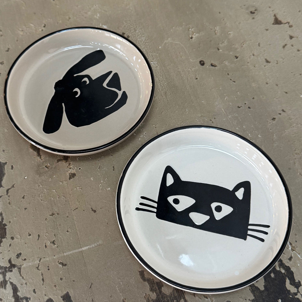 Camp Coaster | Cat