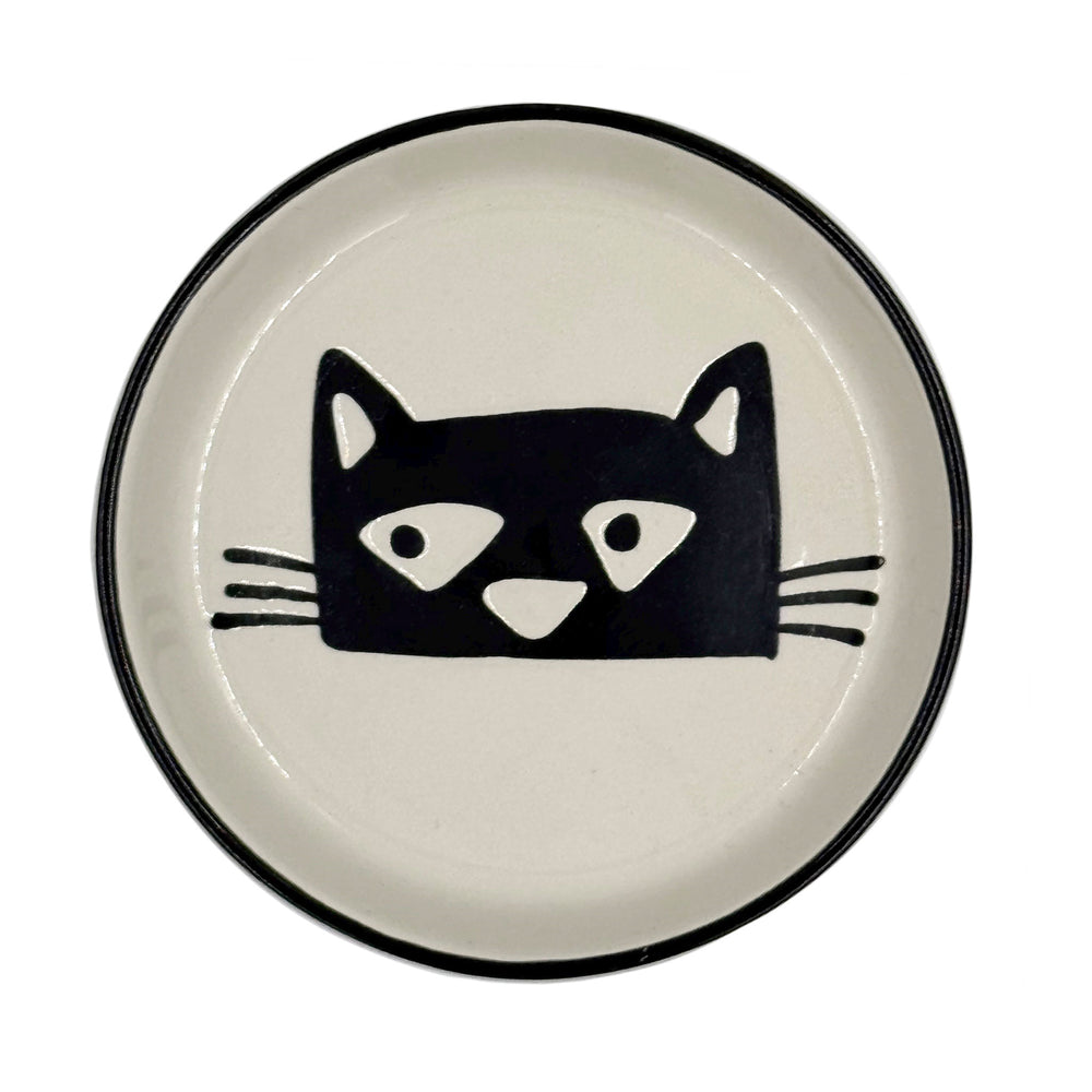 Camp Coaster | Cat