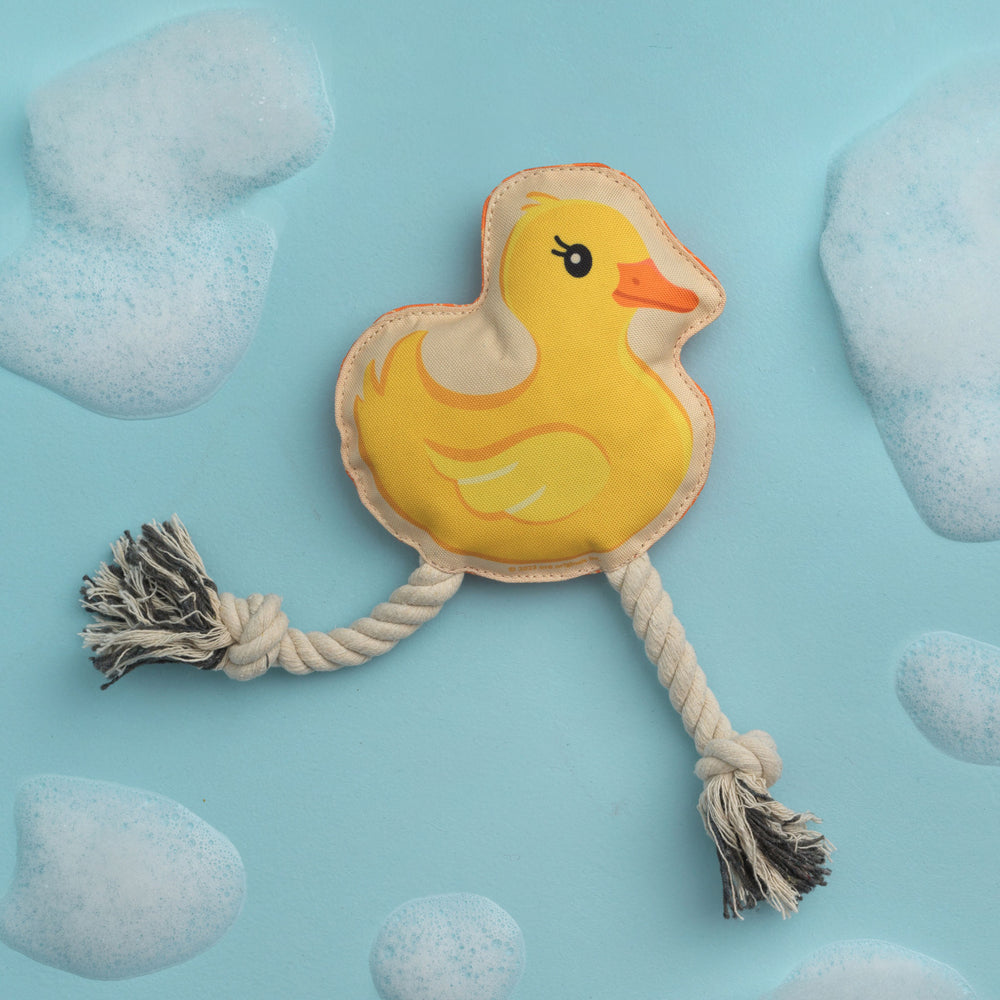 Rope Dog Toy | Rubber Ducky