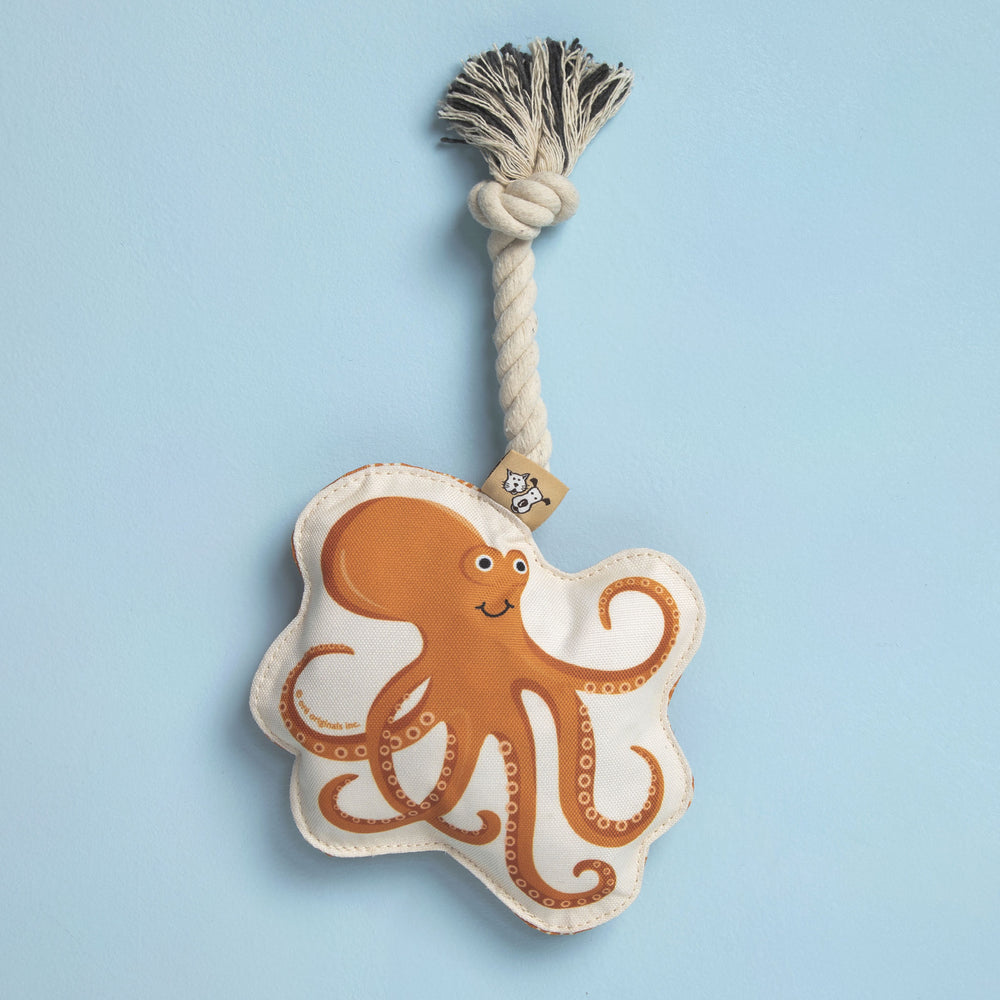 Rope Dog Toy | Octopus