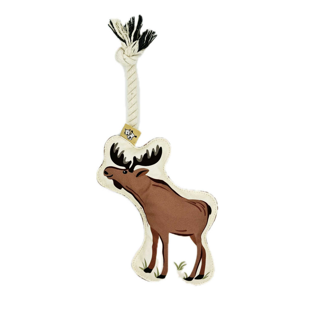 Rope Dog Toy | Moose