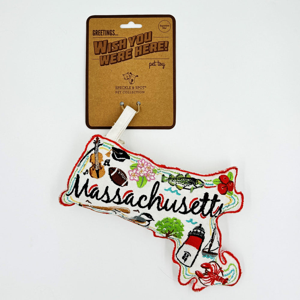 Wish You Were Here Dog Toy | Massachusetts