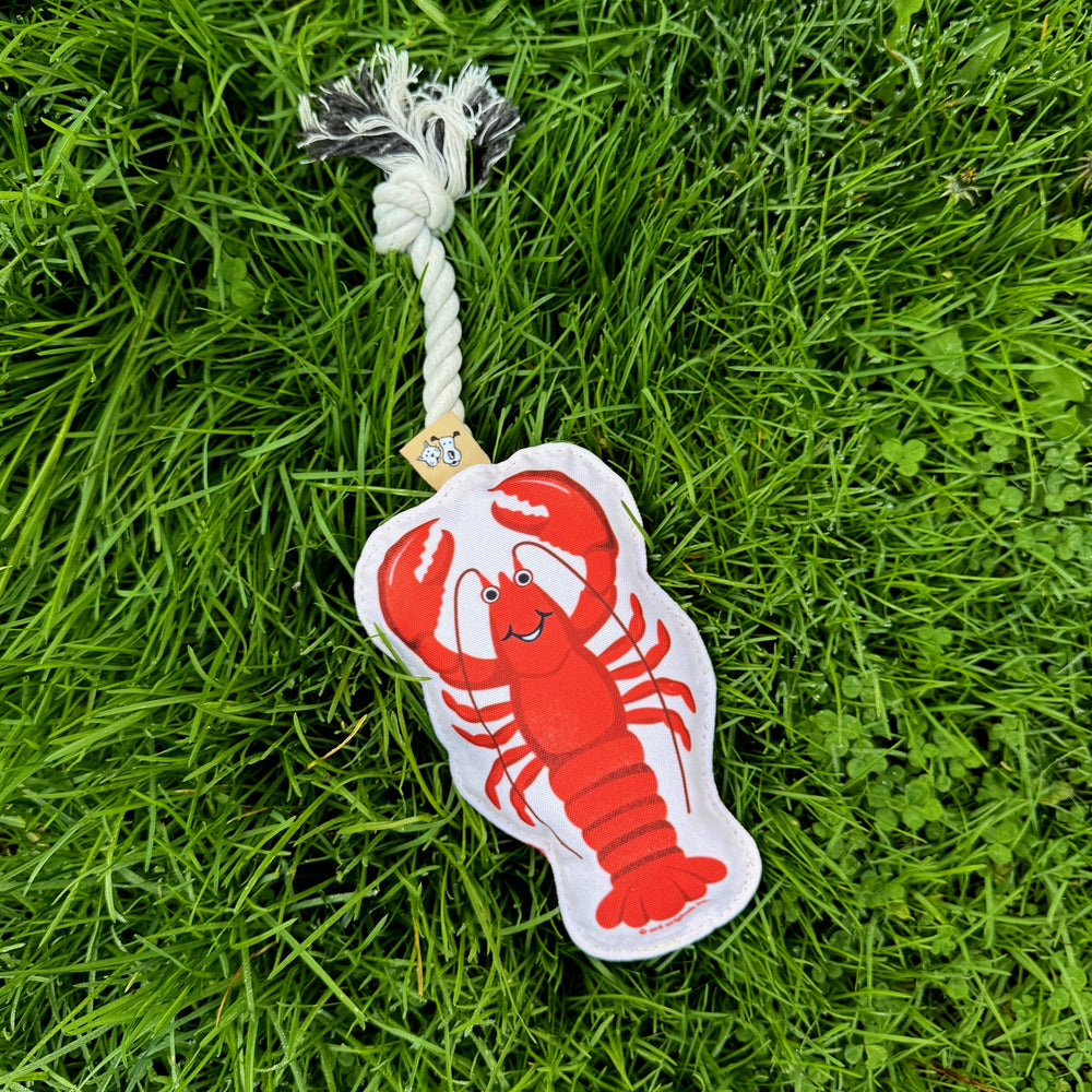 Rope Dog Toy | Lobster