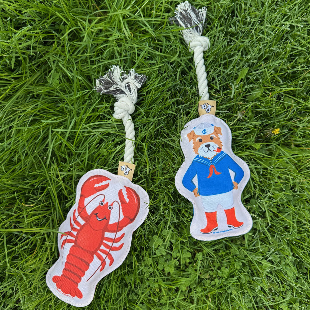 Rope Dog Toy | Lobster