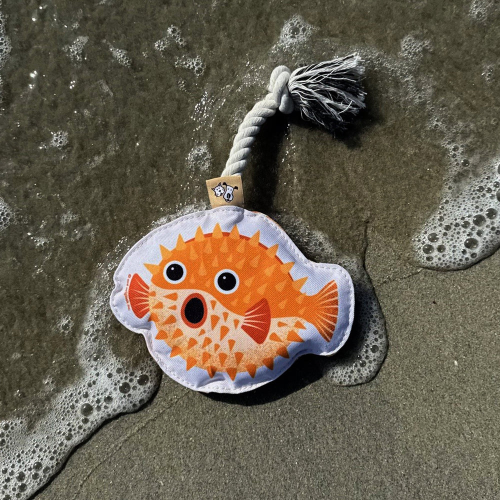 Rope Dog Toy | Puffer Fish