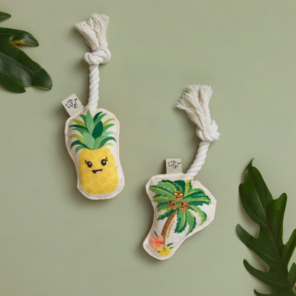 Mini Dog Toy Set | Palm Tree & Pineapple