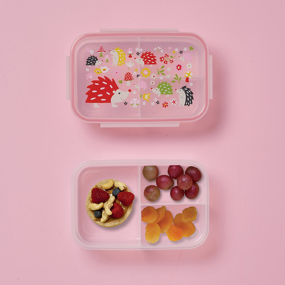 Good Lunch Bento Box | Hedgehog