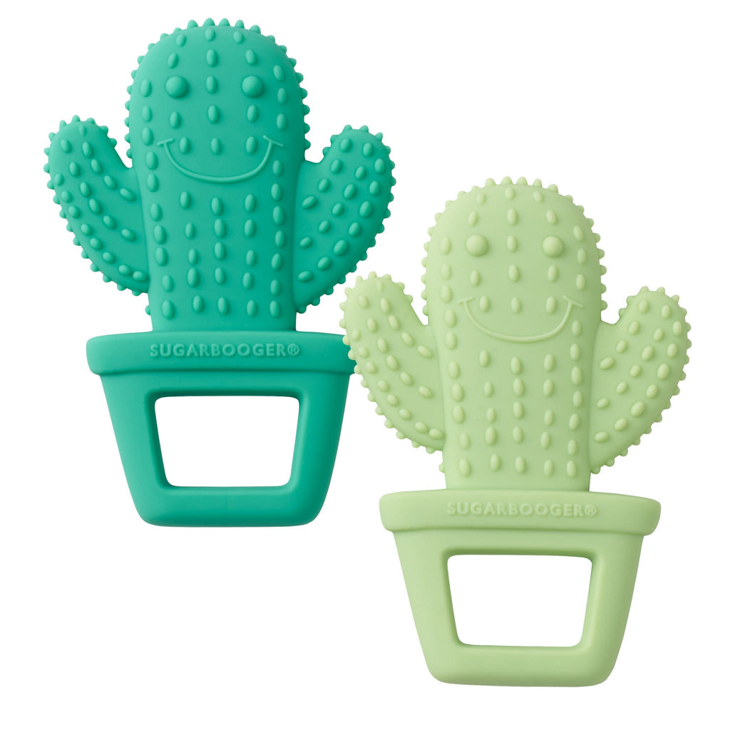 Cactus sales teething toy