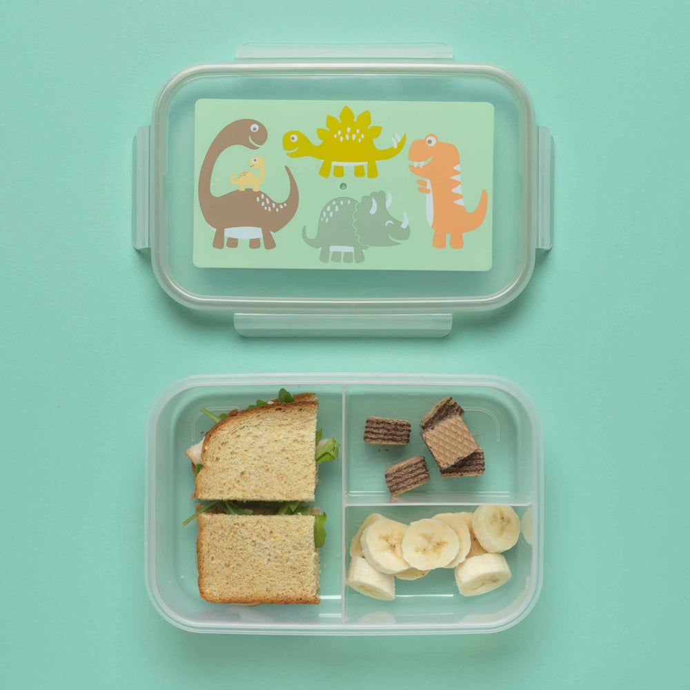 Mesa Dinosaur Lunch Box for Kids - Kids Lunchbox for School