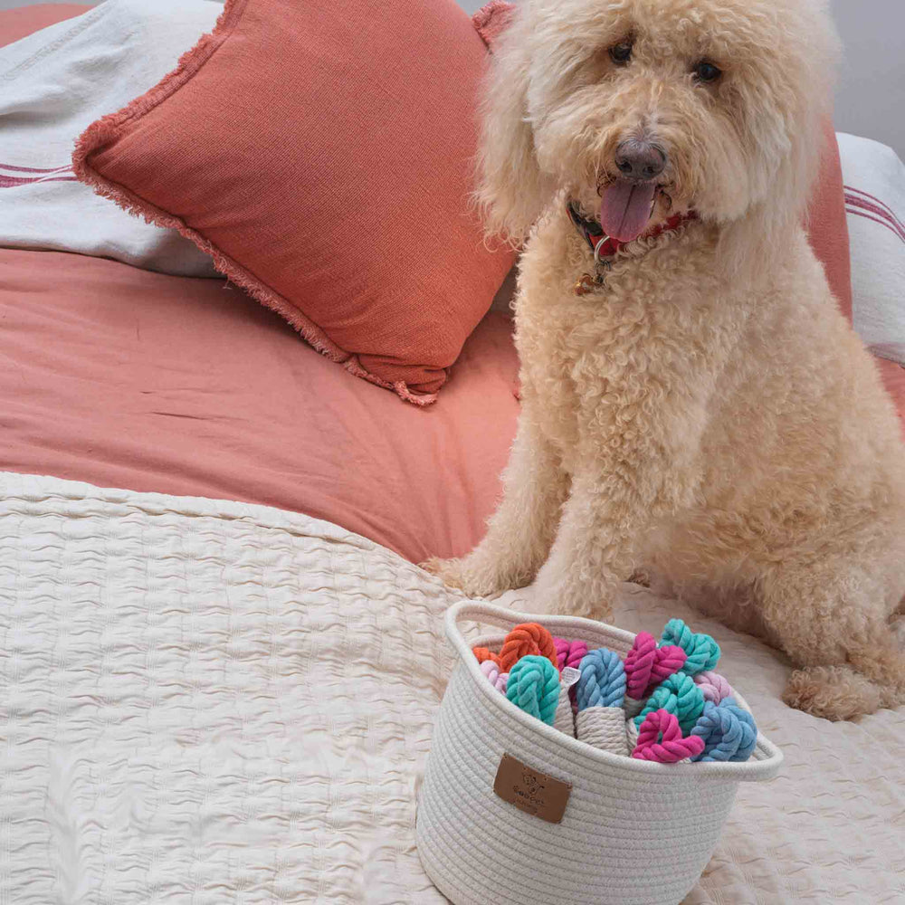 Dog Toy Bucket | All Natural
