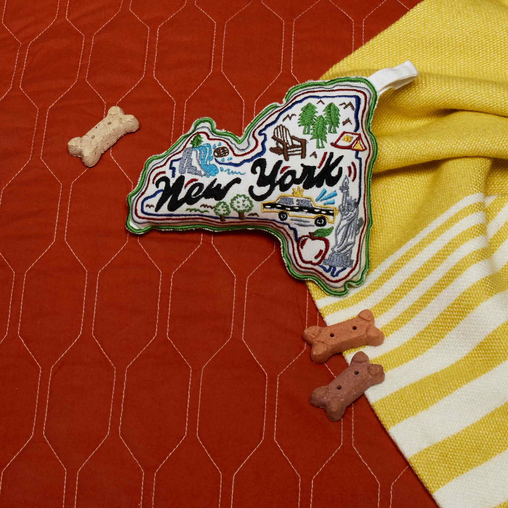 Wish You Were Here Dog Toy | New York
