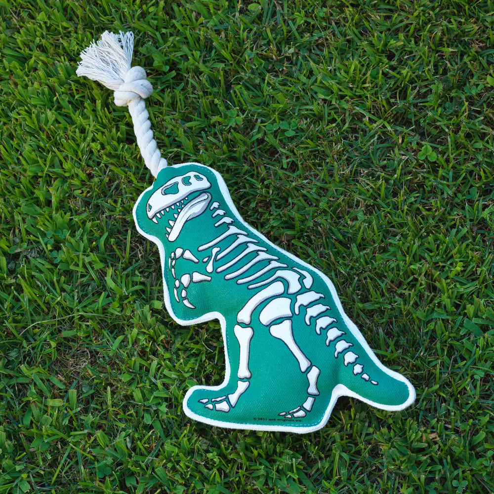 Rope Dog Toy | T-Rex