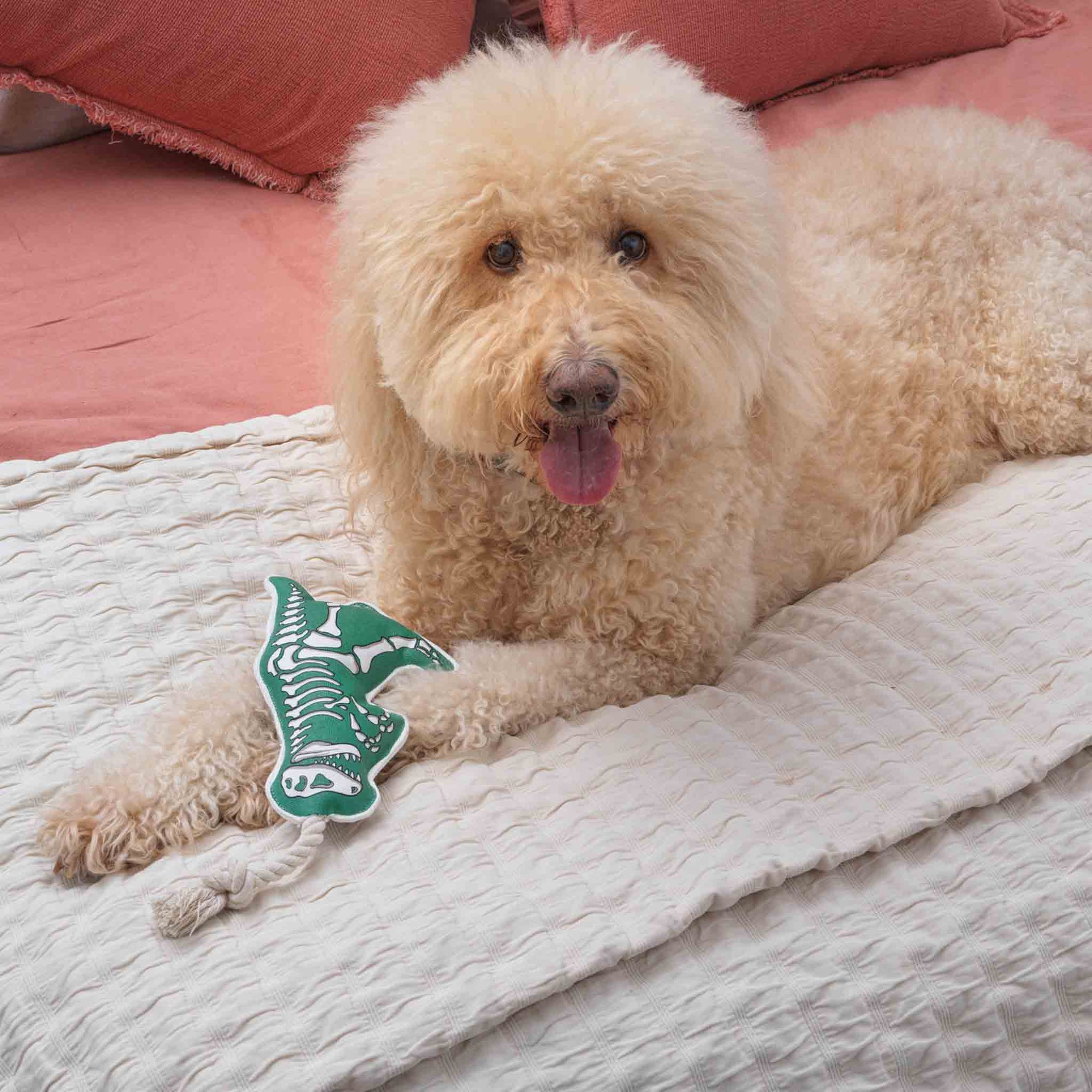 Rope Dog Toy | T-Rex — Ore' Originals Inc.