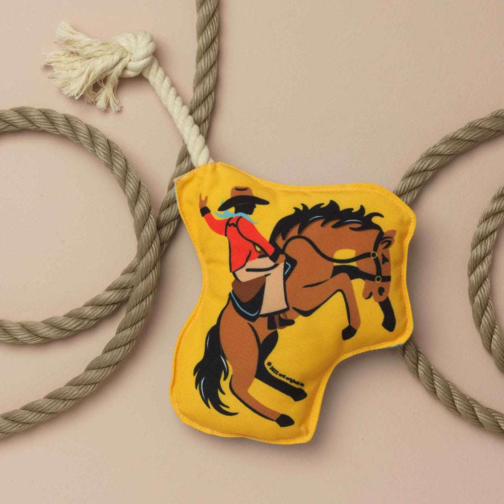 Rope Dog Toy | Rodeo