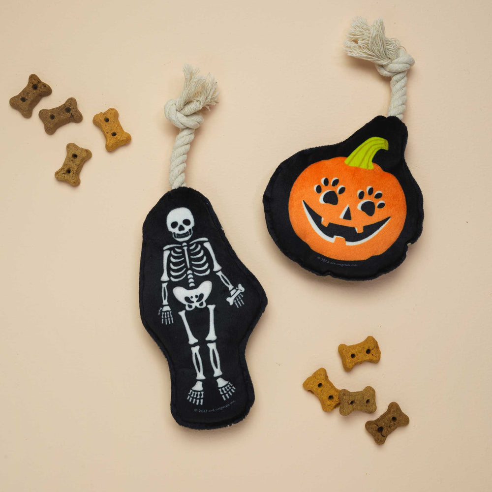 Mini Dog Toy Set | Pumpkin & Skeleton